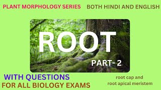 Root part2 plant morphologyeasy explanationwith questions [upl. by Alim]