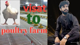 vissat in poultry farmbroiler chicken Kesy tayayr hota hai5122024in this velog [upl. by Alroy]