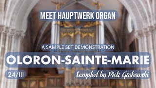 Meet Hauptwerk Organ OLORONSAINTEMARIE 24III [upl. by Carce]