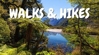 MUST SEE Fiordlands Best Kept Secret Hikes [upl. by London]