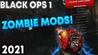 PC UPDATED BLACK OPS ZOMBIE MODS  How To Mod Black Ops Zombies 2024 [upl. by Lledrev352]