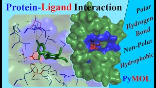 Analysing ProteinLigand Interactions  Tutorial [upl. by Wilkens]