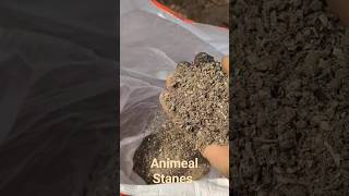 Adding Bio fertilizer from Stanes Animeal [upl. by Gnivri]