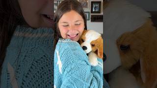 Little Live Pets My Really Real Puppy  Patches The Beagle moosetoys littlelivepets toys [upl. by Ahsaet]