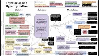 Hyperthyroidism  thyrotoxicosis mechanism of disease [upl. by Lin]