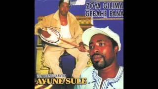 Ayune Sule Ghana Kologo music [upl. by Colin209]