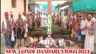 New Gondi Dandari video song 2024 [upl. by Ainigriv599]