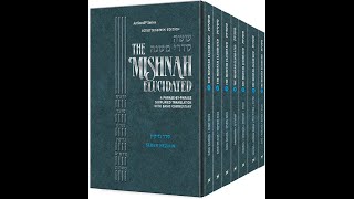 Mishna in English Tractate Sanhedrin Chapter 311 Mishna 48 [upl. by Andres]