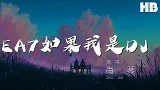 肖琴  EA7如果我是DJ DJ版『』【動態歌詞Lyrics】 [upl. by Soneson]