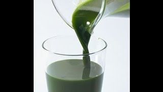 Drinking Chlorophyll Should You [upl. by Eisele775]