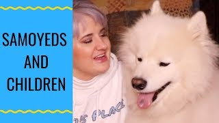 Are Samoyeds Gentle Family Dogs [upl. by Rollo]