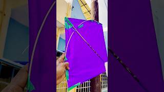 Pol se loot Li ek Patang viralvideo kitelooting kitelover kiteflying [upl. by Atteloj]