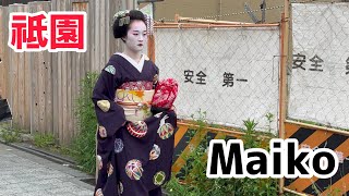 祗園を歩く芸舞妓さん👘GeikoampMaiko Kyoto🇯🇵Japan4K [upl. by Acenom]