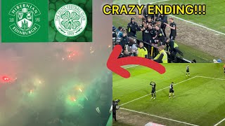 CRAZY SCENES  HIBS V CELTIC HIGHLIGHTS [upl. by Ydospahr478]