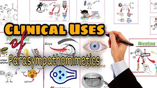 Parasympathomimetics Clinical Uses amp Classification of Direct Acting Cholinergic Drugs [upl. by Elinore]