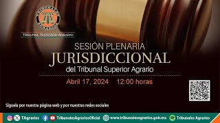 170424  Sesión Plenaria Jurisdiccional [upl. by Yrgoerg778]