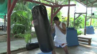 Tiger Muay Thai and MMA Techniques Heavy Bag WarmUp [upl. by Sanfourd]