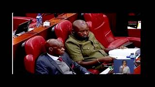 LIVE Senate Impeachment of Deputy President Rigathi Gachagua I 17th October 2024 [upl. by Nwahsyd937]