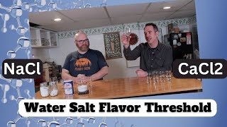 Brewing Water Salt Experiment  Testing Sodium and Calcium Flavor Threshold [upl. by Fortune]