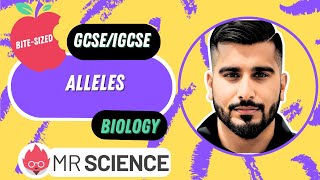 Alleles  Inheritance  Bitesized  GCSE  IGCSE Biology  Mr Science in 8K [upl. by Prent]