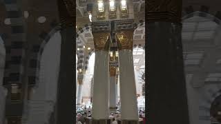 live in Masjid Nabawi pbuh Salam alayqum Jummah Prayer [upl. by Bent]