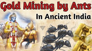 Gold Mining By Ants in Ancient India  quotUnearthing The Epic Tale of Pipilika Goldquot [upl. by Asilef]