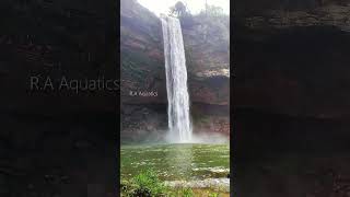 Phe Phe Falls  A must visit waterfalls of Jaintia Hills Meghalaya shorts [upl. by Tuhn]