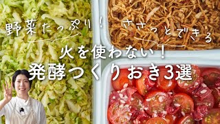 【火を使わない、簡単】野菜の発酵つくりおき3選 [upl. by Grogan906]