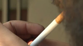 Plantbased drug proves effective in helping people quit smoking [upl. by Simaj]