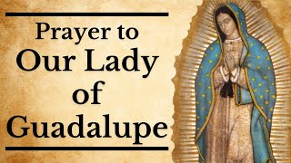 Prayer to Our Lady of Guadalupe  For a Special Request [upl. by Nameloc927]