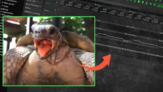 TURTLES MAKING LOVE TURNED INTO A BEAT [upl. by Asilehc]