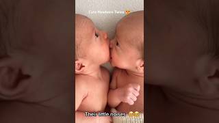 The precious moments of newborn twins babies 🥰❤️ [upl. by Eisaj]