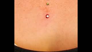 The Piercings MicroDermal Piercing by Ferry wwwthepiercingseu  Instathepierc [upl. by Laeno]