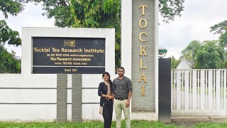 Tocklai Tea Research Institute Jorhat Assam Visit ll चायपत्ती कैसे बनती है ll Arti Rajawat ❤️ [upl. by Khai372]