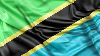 Tanzania Flag 25 sec Loop  FREE Full HD Stock Footage  Realistic Tanzanian Flag Wave Animation [upl. by Therese677]