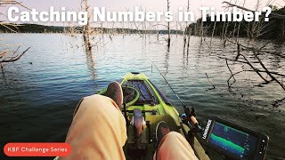 Fishing a Sunken Forest  Briery Creek Lake [upl. by Kuth307]