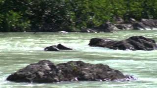 Glacier watersNorthern British Columbia [upl. by Alvita808]