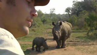 Lucky Escape from a Black Rhino  Ultimate Killers  BBC Earth [upl. by Anelak808]