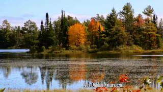 LEO ROJAS COLORFUL AUTUMN Pan Flute [upl. by Akemaj]