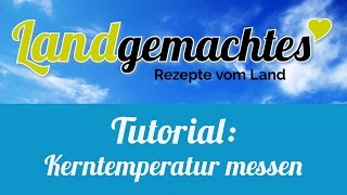 Tutorial  Kerntemperatur messen [upl. by Demott]