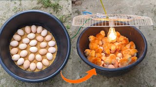 BEST Incubator For Chicken Eggs With 100 Efficiency  Chicken Hatchery  Chicken Egg Incubator [upl. by Toms]