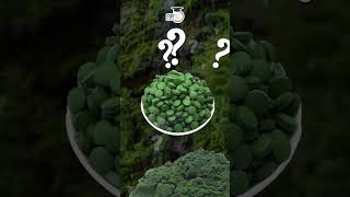 Chlorella Growth Factor Natures Cellular Booster I Manish Shrivastava I StudyIQ IAS Hindi [upl. by Ellekram]