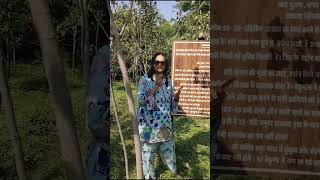 Peepal tree benefits  peepal tree forest in shatam jeeva eatfit247 [upl. by Kal546]