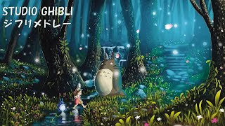 ジブリメドレーピアノ💖 美しい2時間のスタジオジブリ音楽 🔔 ジブリ史上最高のリラックス BGM [upl. by Burl]