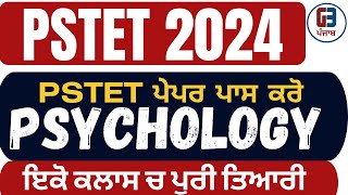 PSTET 2024  Psychology marathon class  By Gillz Mentor [upl. by Greenquist]