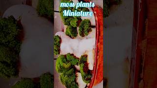 How to make moss plants miniature Garden मॉस प्लांट मिनिएचर गार्डन⛰️🏞 [upl. by Volnay]