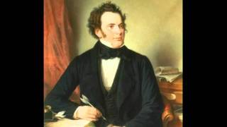 FSchubert  Forellenquintett Opus post 114  D667  Andante 25 [upl. by Yddub38]