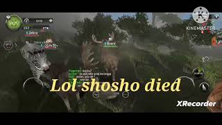 wild animals online fight with jeen and shosho part 2 [upl. by Nediarb329]