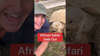 African Safari Sells Out Like Taylor Swift Concert 😂🦁shorts safari [upl. by Germano]