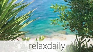 Deep Relaxation Music  calm reflecting mindful  N°023 4K [upl. by Sabah]